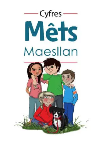 Cyfres Mêts Maesllan: Pecyn 1