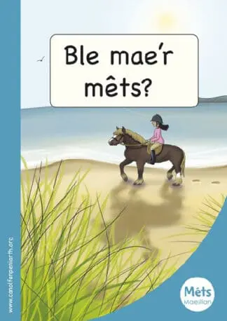 Mêts Maesllan: Ble Mae’r Mêts?