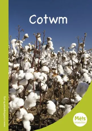 Mêts Maesllan: Cotwm