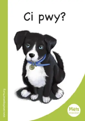 Mêts Maesllan: Ci Pwy?