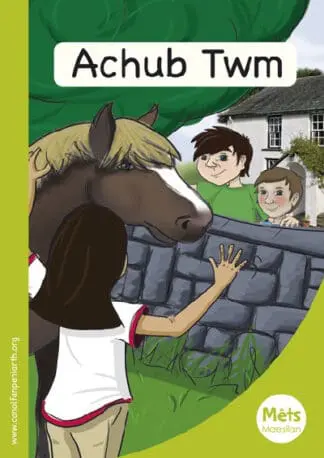 Mêts Maesllan: Achub Twm