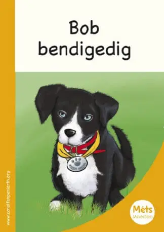 Mêts Maesllan: Bob Bendigedig