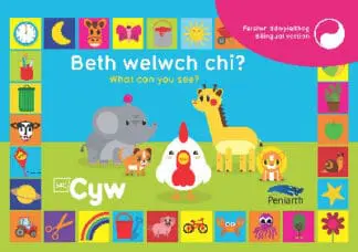 Beth Welwch Chi? What Can You See? Cyw