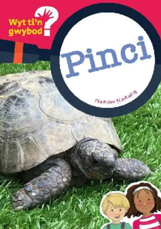 Cyfres Wyt Ti’n Gwybod?: Pinci