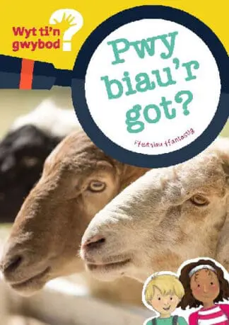 Cyfres Wyt Ti’n Gwybod?: Pwy Biau’r Got?