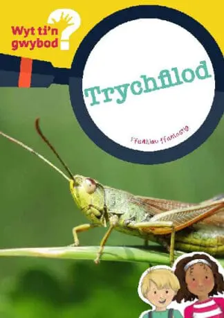 Cyfres Wyt Ti’n Gwybod?: Trychfilod