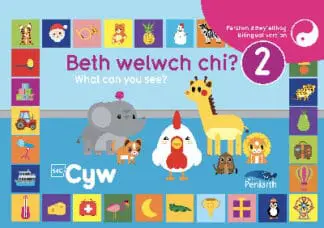 Beth Welwch Chi? / What Can You See? 2