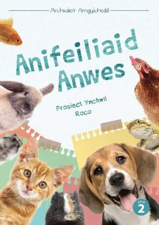 Cyfres Archwilio’r Amgylchedd: Anifeiliaid Anwes