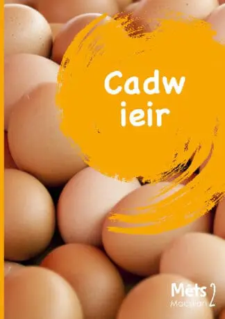 Mêts Maesllan 2 – Cadw Ieir