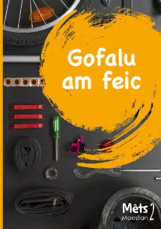 Mêts Maesllan 2 – Gofalu am Feic