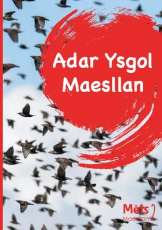 Mêts Maesllan 2 – Adar Ysgol Maesllan
