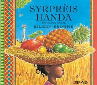 Syrpréis Handa / Handa’s Surprise