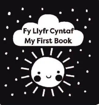 Fy Llyfr Cyntaf / My First Book