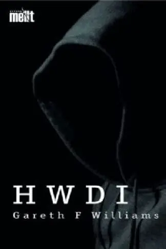 Cyfres Mellt: Hwdi (Pecyn o 15)