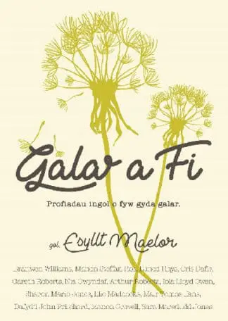 Galar a Fi