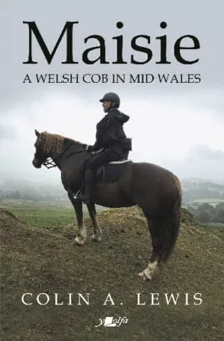 Maisie – A Welsh Cob in Mid Wales