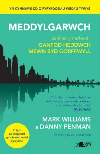 Darllen yn Well: Meddylgarwch – Canllaw Ymarferol i Ganfod Heddwch Mewn Byd Gorffwyll
