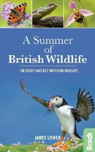 Summer of British Wildlife, A – 100 Great Days out Watching Wildlife