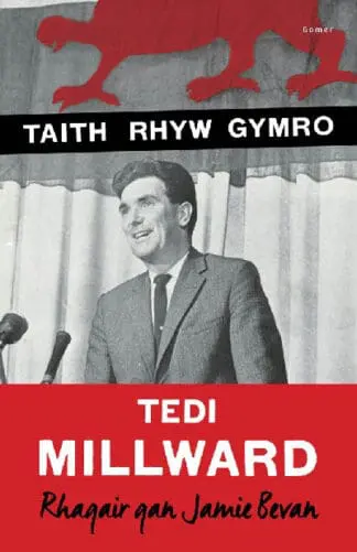 Taith Rhyw Gymro