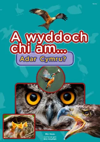Cyfres a Wyddoch chi: A Wyddoch Chi am Adar Cymru?