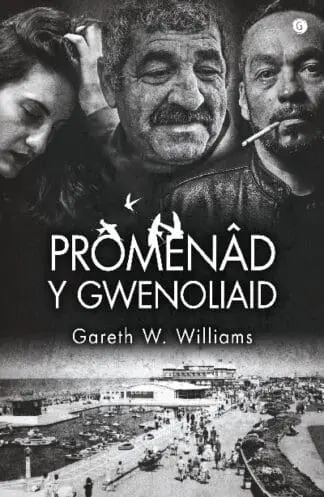 Promenâd y Gwenoliaid