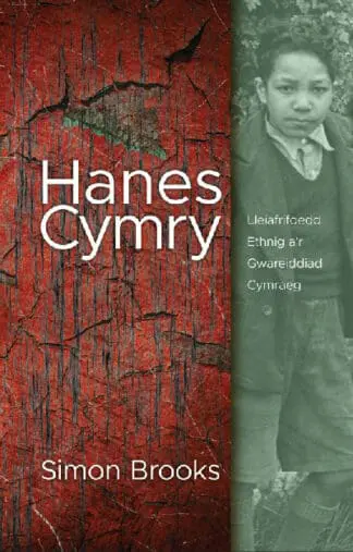 Hanes Cymry – Lleiafrifoedd Ethnig a’r Gwareiddiad Cymraeg