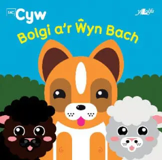 Cyfres Cyw: Bolgi a’r Ŵyn Bach