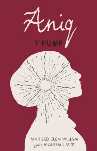 Y Pump – Aniq