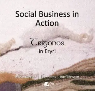 Social Business in Action – Trigonos in Eryri
