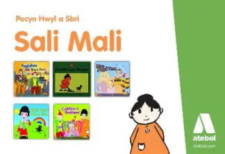 Pecyn Hwyl a Sbri Sali Mali