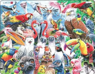 Jig-so Adar Hapus o Bob Rhan o’r Byd / Cheerful Birds From All Over the World Jigsaw