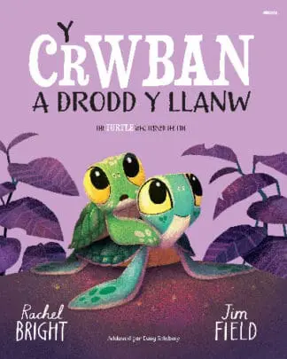 Y Crwban a Drodd y Llanw / The Turtle Who Turned The Tide