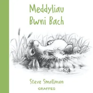 Meddyliau Bwni Bach