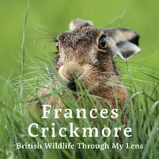 Frances Crickmore – British Wildlife Through My Lens