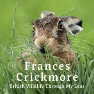 Frances Crickmore – British Wildlife Through My Lens