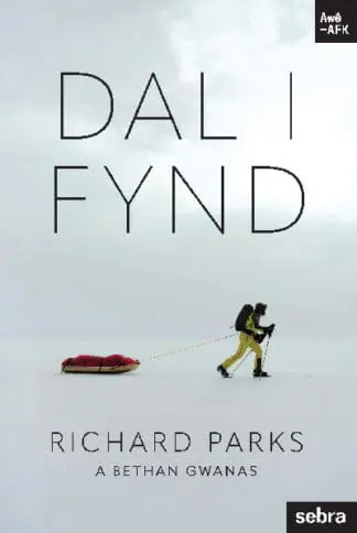 Stori Sydyn: Dal i Fynd