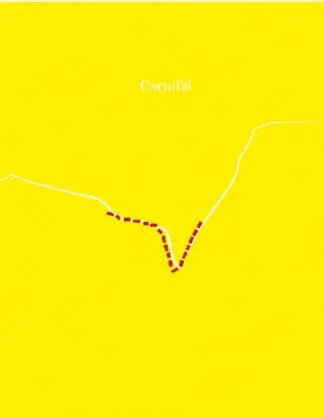 Carnifal