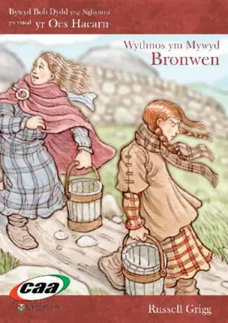 Bywyd Bob Dydd yng Nghymru yn yr Oes Haearn