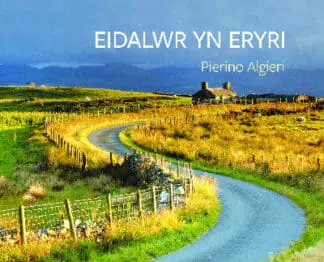 Eidalwr yn Eryri