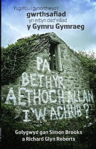 Pa Beth yr Aethoch Allan i’w Achub