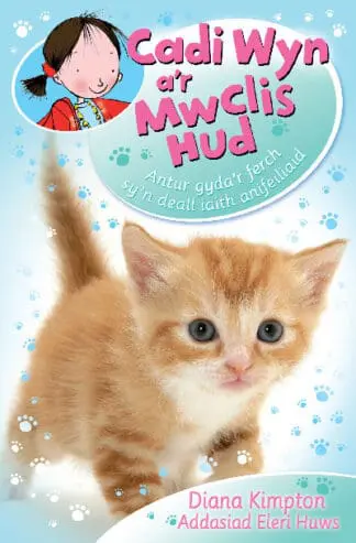 Cadi Wyn a’r Mwclis Hud