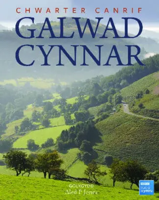 Chwarter Canrif Galwad Cynnar