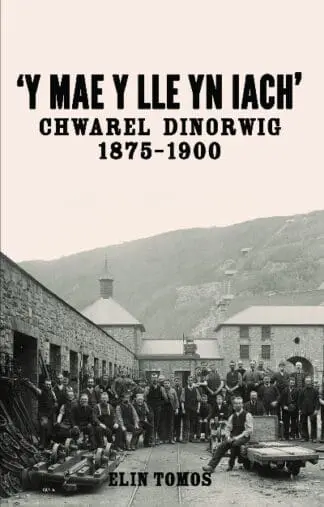 ‘Y Mae y Lle yn Iach’ – Chwarel Dinorwig 1875-1900