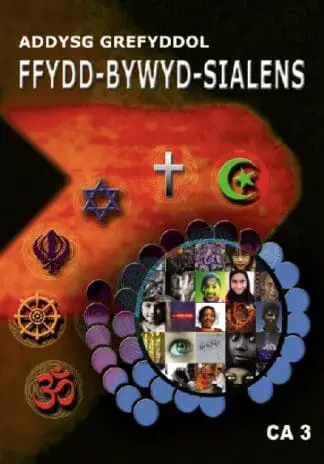 Ffydd Bywyd Sialens – Addysg Grefyddol, Cyfnod Allweddol 3 (DVD)