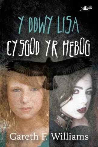 Cyfres y Dderwen: Y Ddwy Lisa – Cysgod yr Hebog