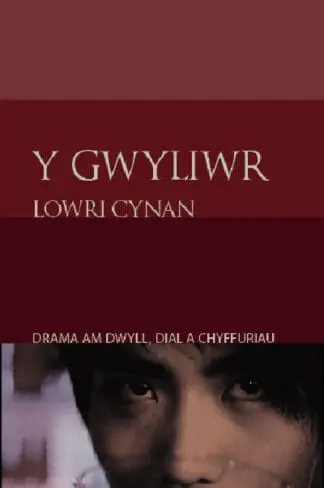 Cyfres Copa: Y Gwyliwr