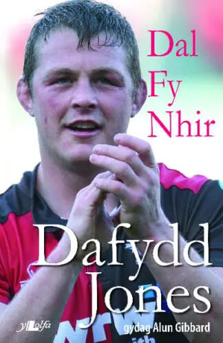 Dal fy Nhir – Hunangofiant Dafydd Jones