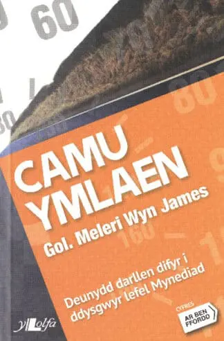 Cyfres ar Ben Ffordd: Camu Ymlaen – Lefel 1 Mynediad