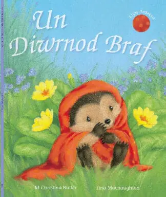 Cyfres Draenog Bach: Un Diwrnod Braf