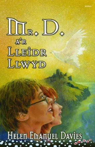 Cyfres Swigod: Mr D a’r Lleidr Llwyd